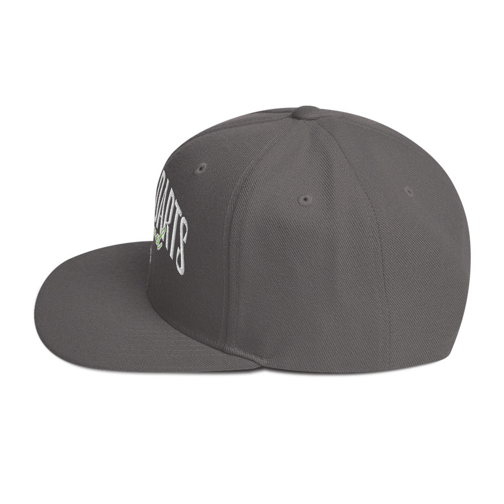 Glory Darts - Urban Snapback-Cap Green