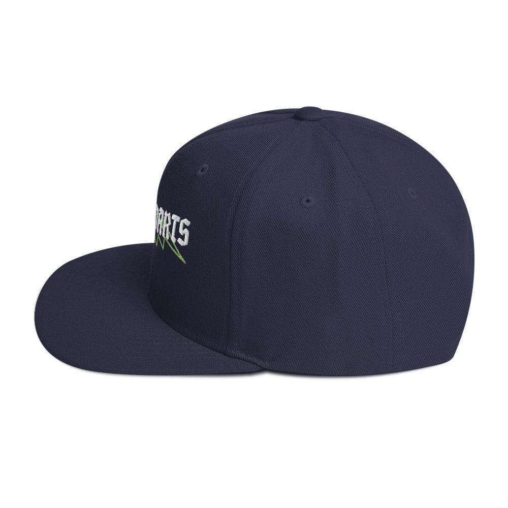 Glory Darts - Flash Snapback-Cap Green