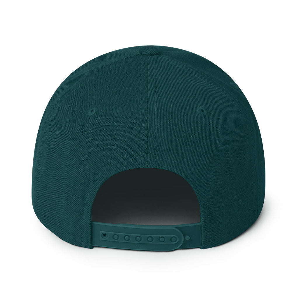 Glory Darts - Flash Snapback-Cap Green