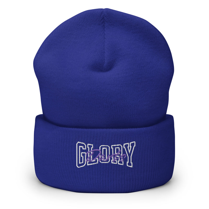 Glory Darts - Ambitions Beanie Purple